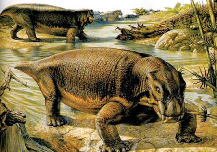 Листозавр принадлежал к растительноядным терапсидам, которые называются дицинодонтами. Они появились в конце пермского периода. У листозавра было всего два зуба, росших на верхней челюсти